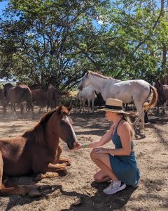 Finca Las Garzas in Playa Grande
