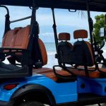 blue zone golf carts